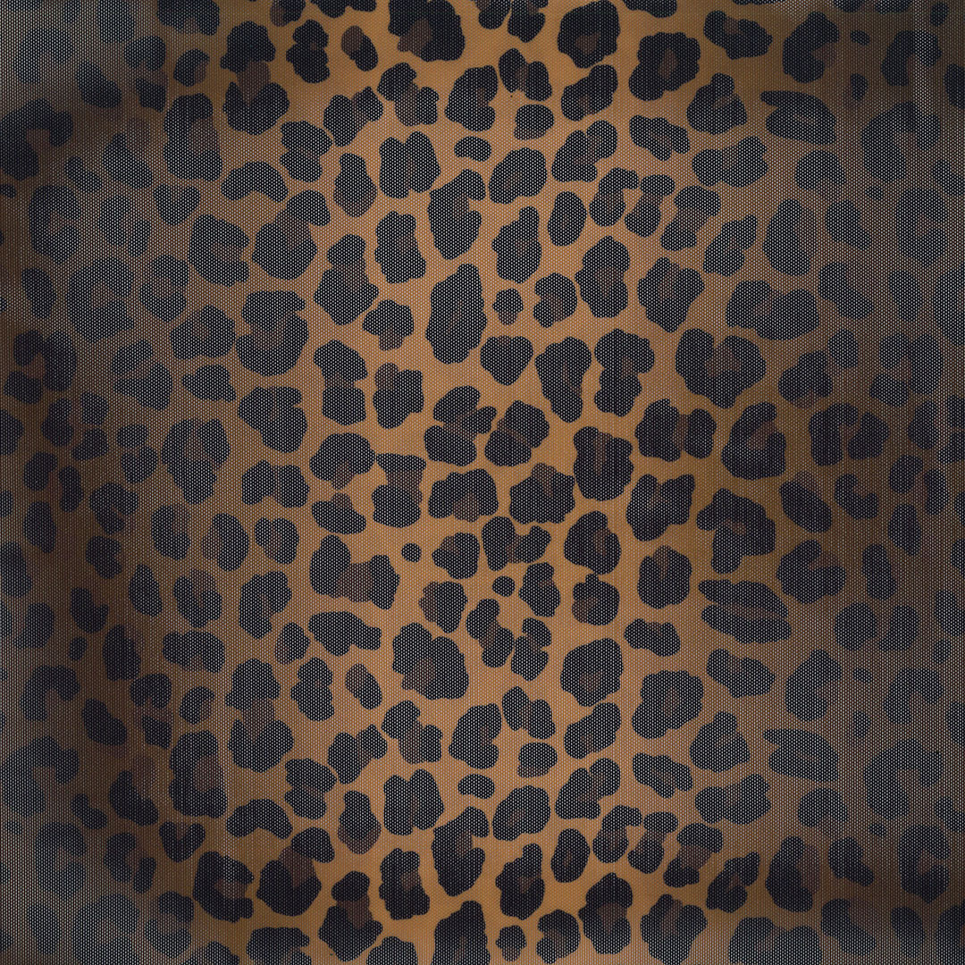 ELO_LEOPARD_V1