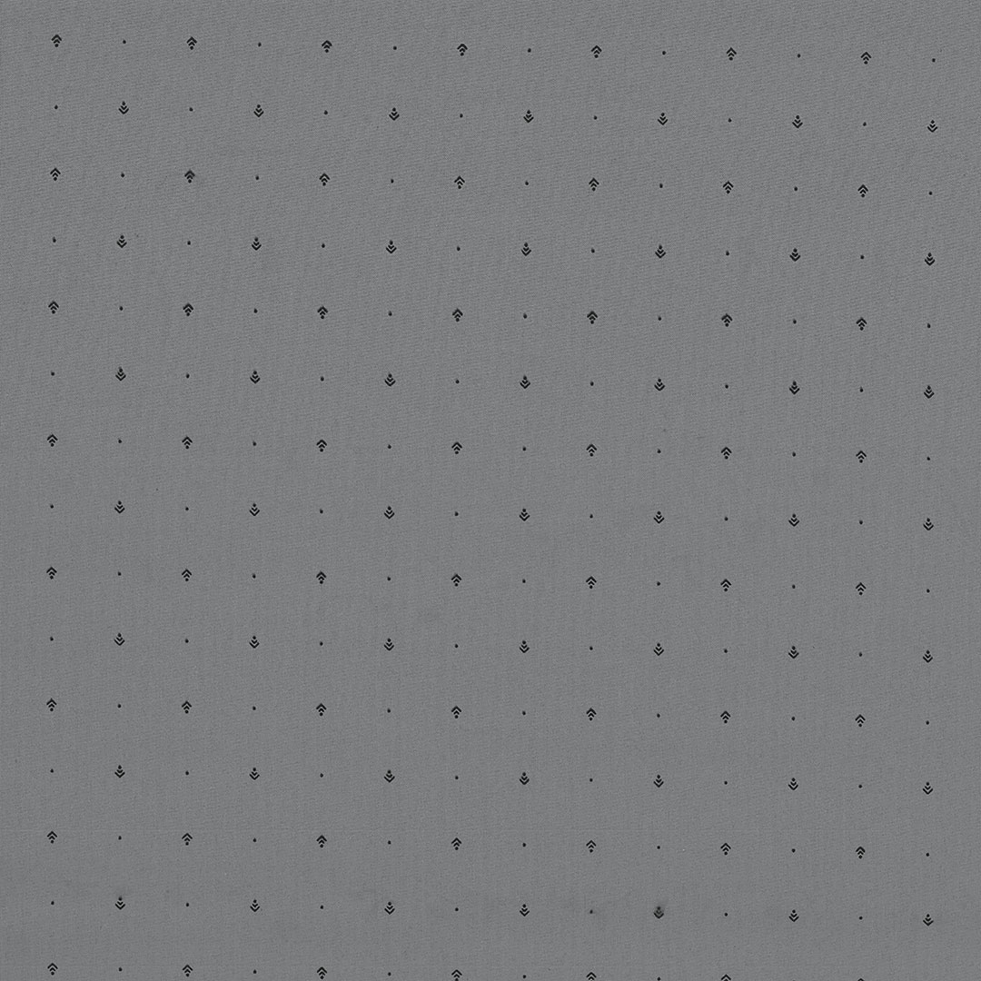 RU_FLETRI_V1