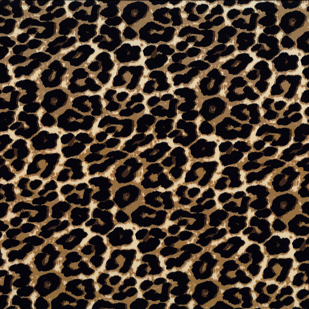 DESIWILDPACK_V3