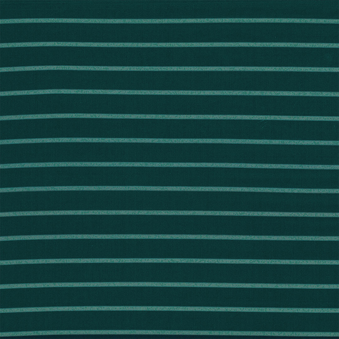 BANDAJAZZ_61720
