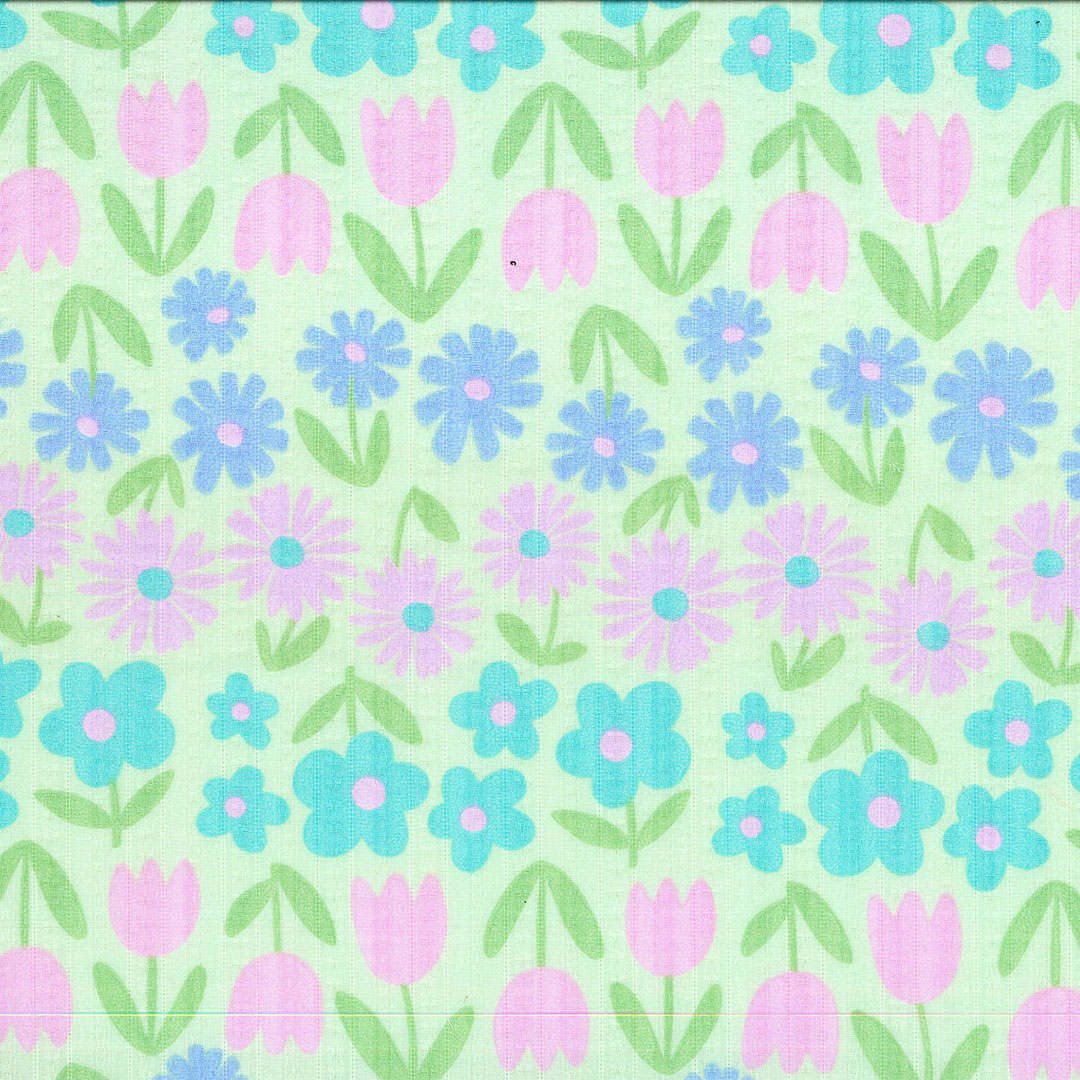 OR_STARLYA_V1