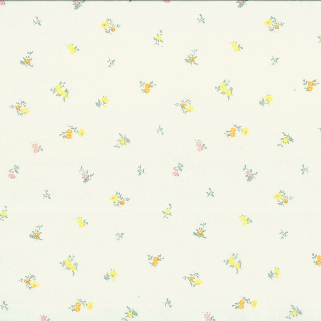 DAN_SOLETYN_V2