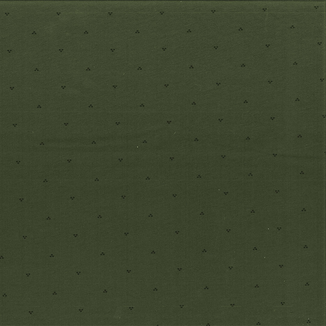 KEI_CACTUN_V1