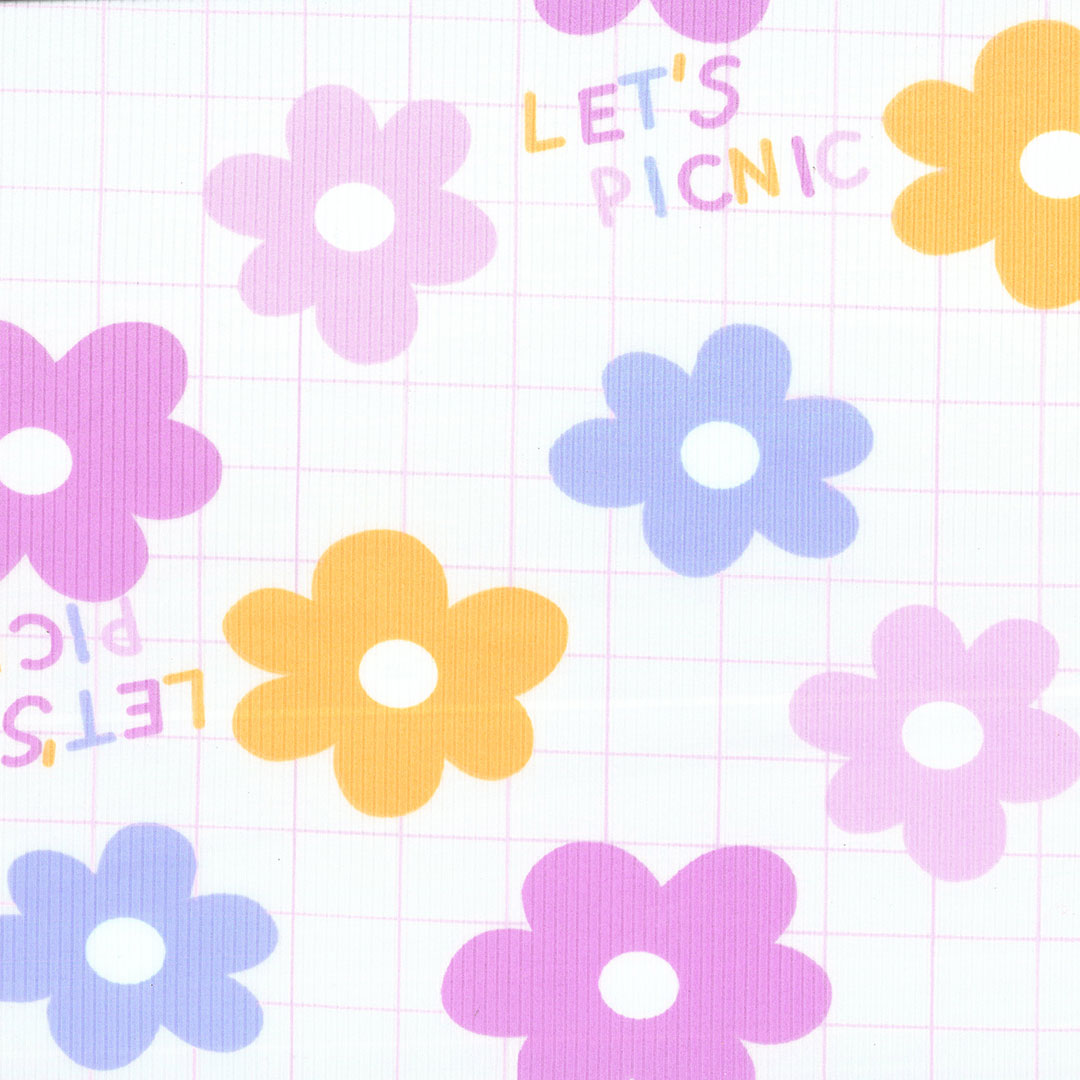 NOA_PICNIC_V1
