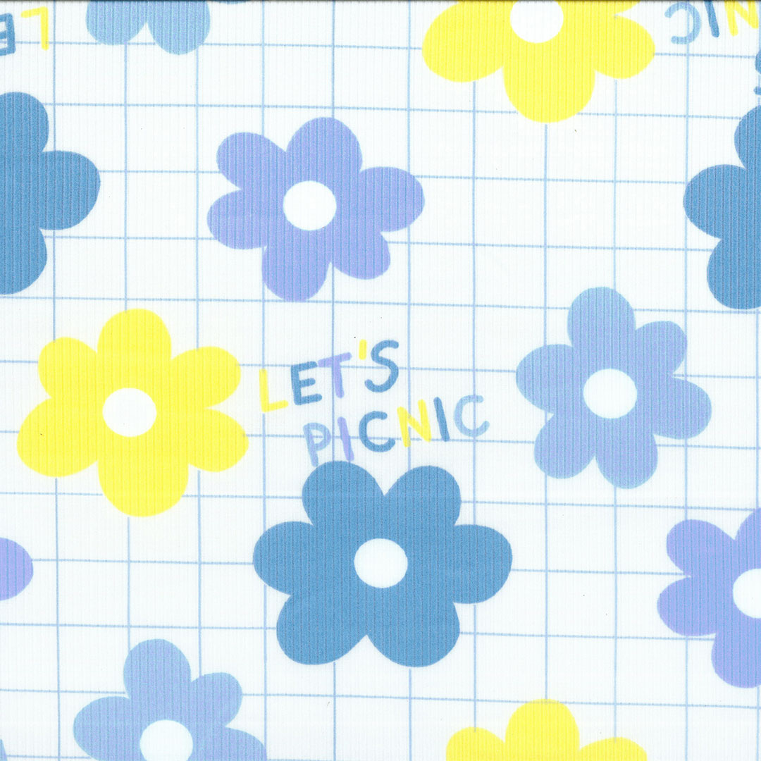 NOA_PICNIC_V2