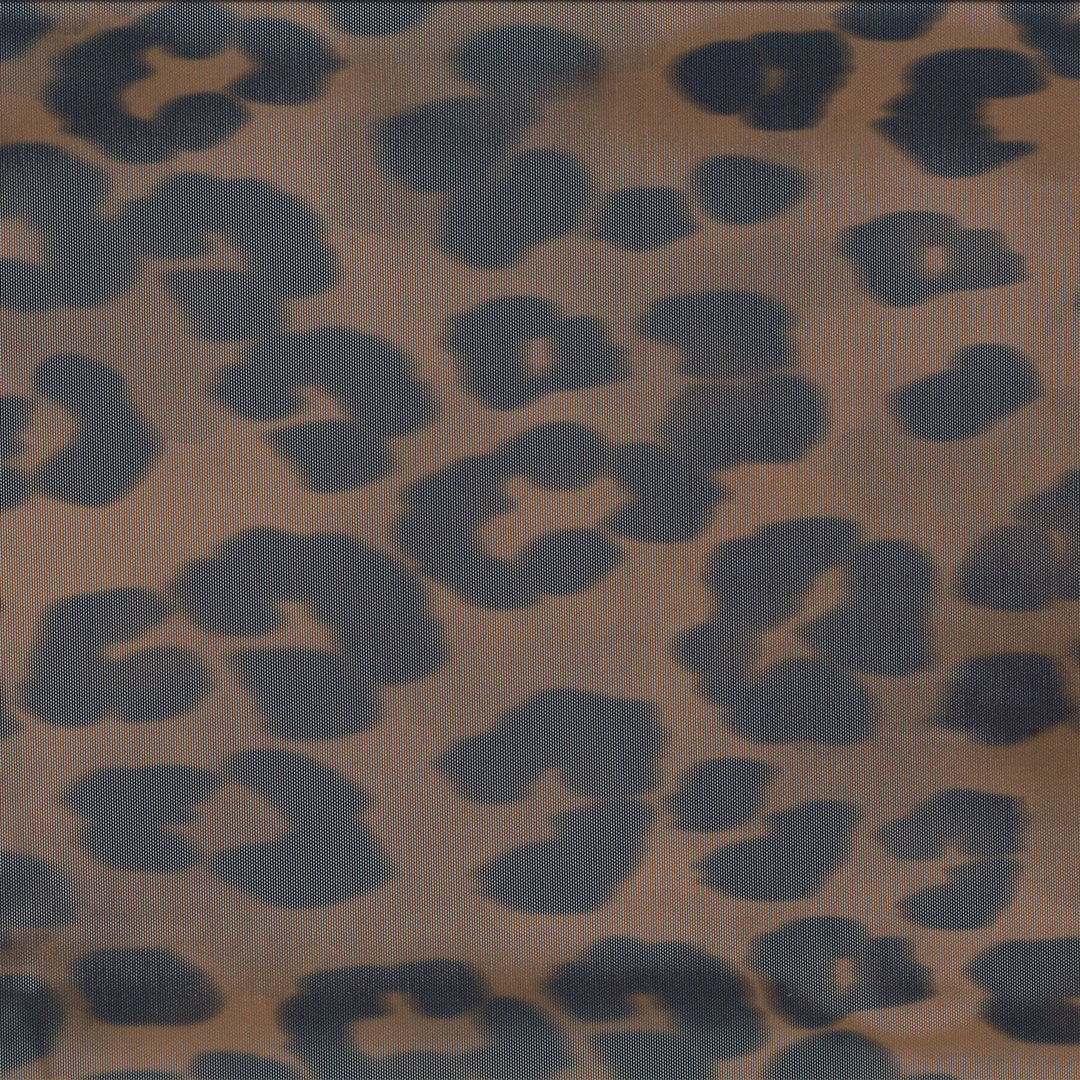 AVA_CHEETA_V2