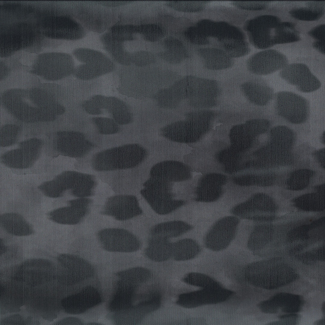 AVA_CHEETA_V3
