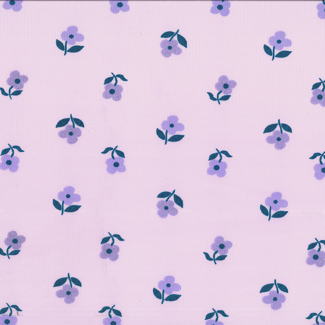 ESCJANE_SIERAS_V1